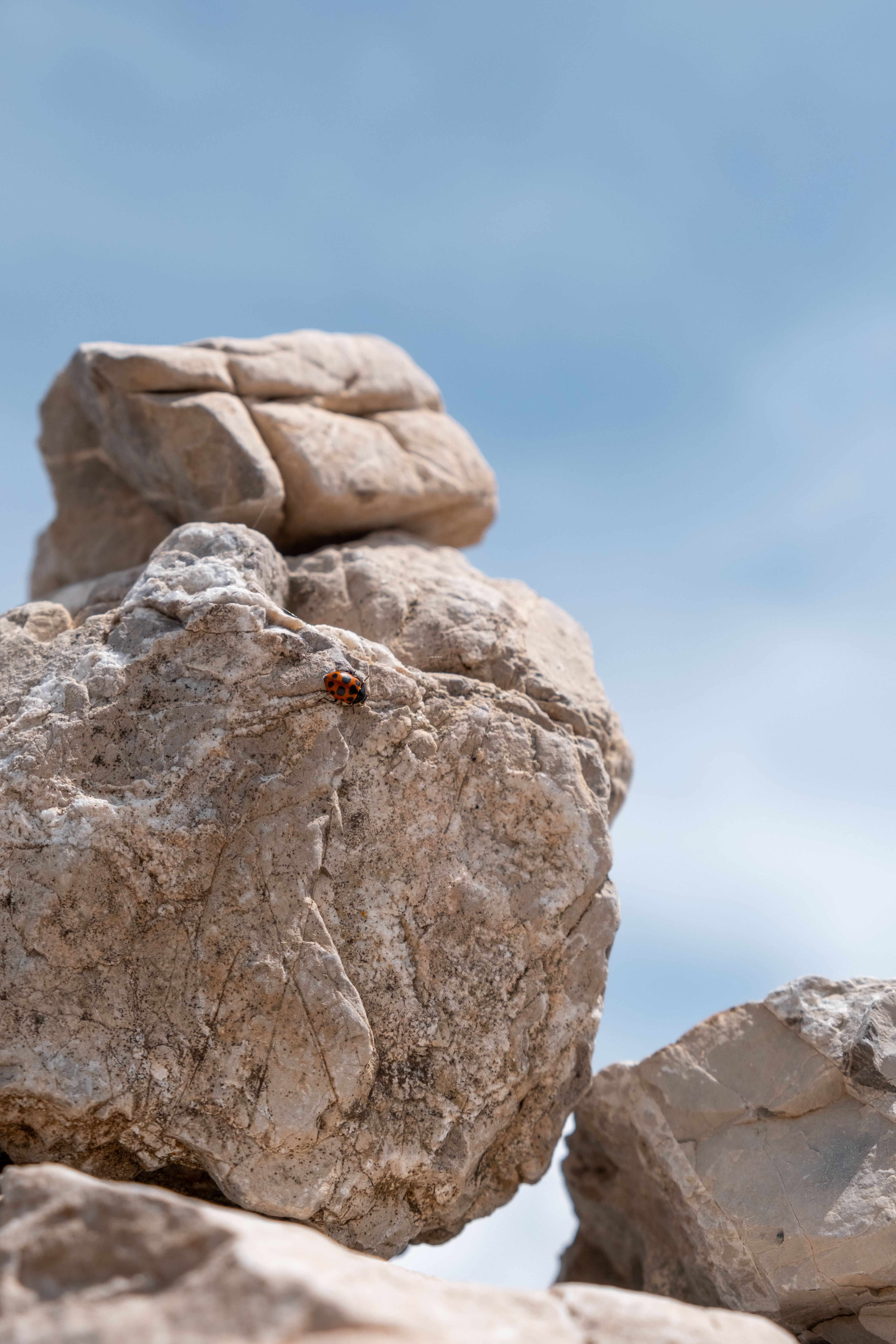 AlpineCore Instagram rocher